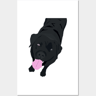 Black Labrador Posters and Art